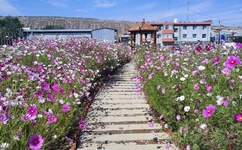 4399少妇做受免费A片